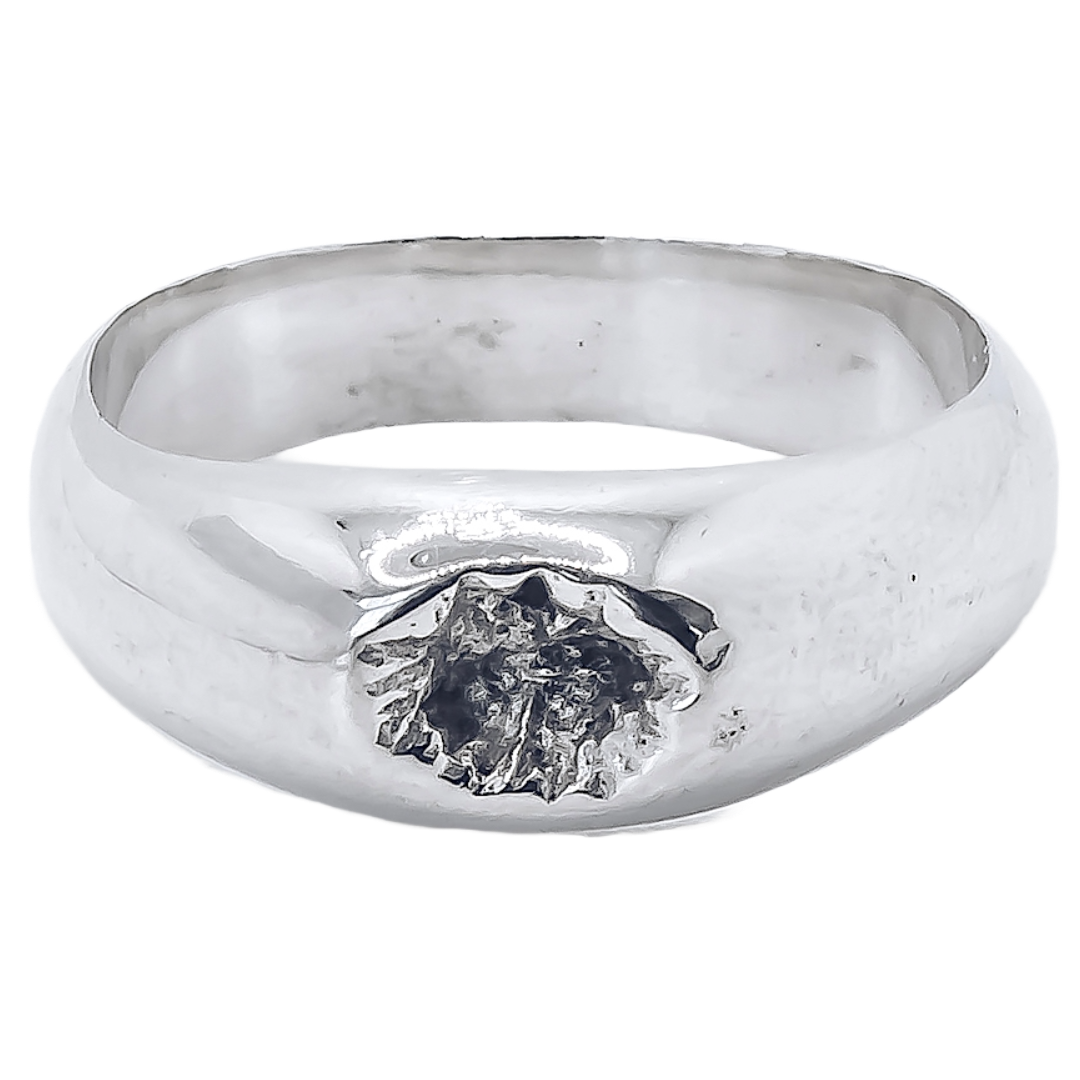 Crater Signet - 925 Sterling Silver