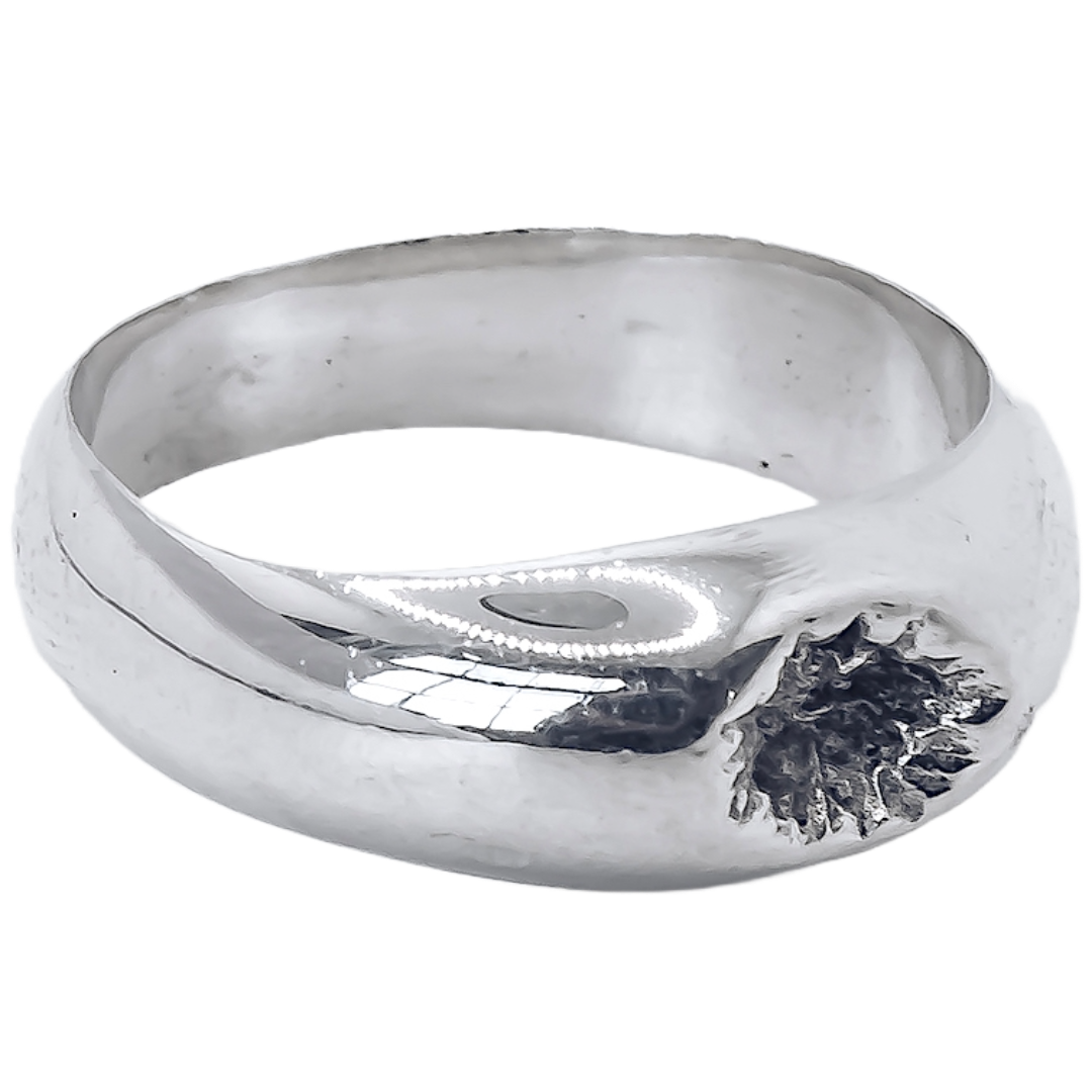 Crater Signet - 925 Sterling Silver