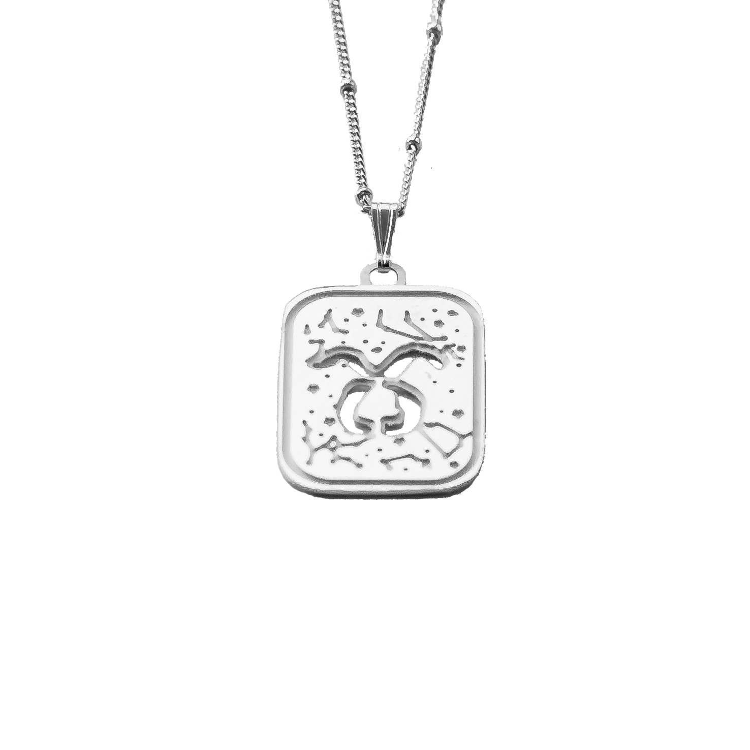 TAURUS Necklace