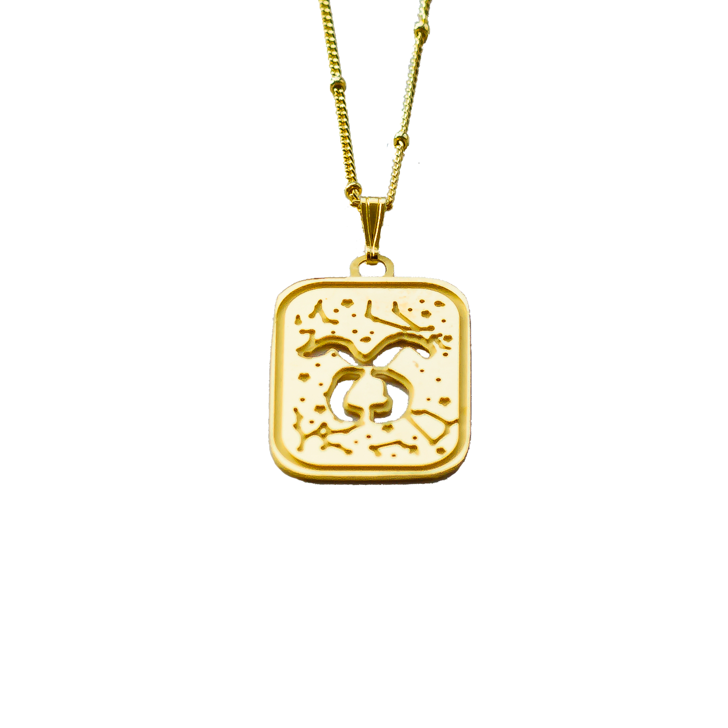 TAURUS Necklace