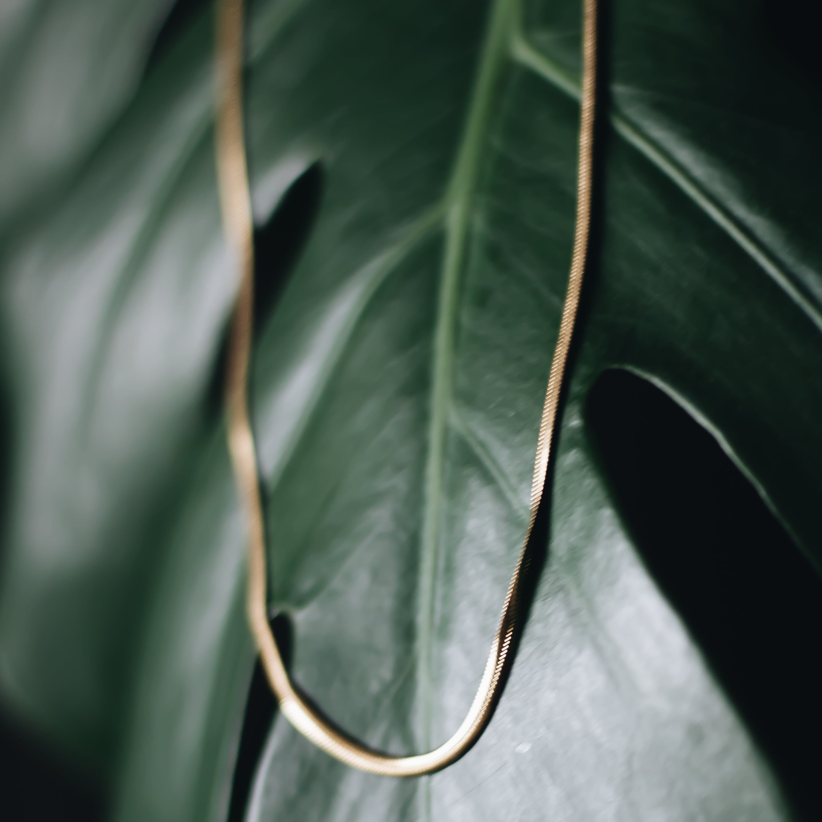SERPENT Necklace