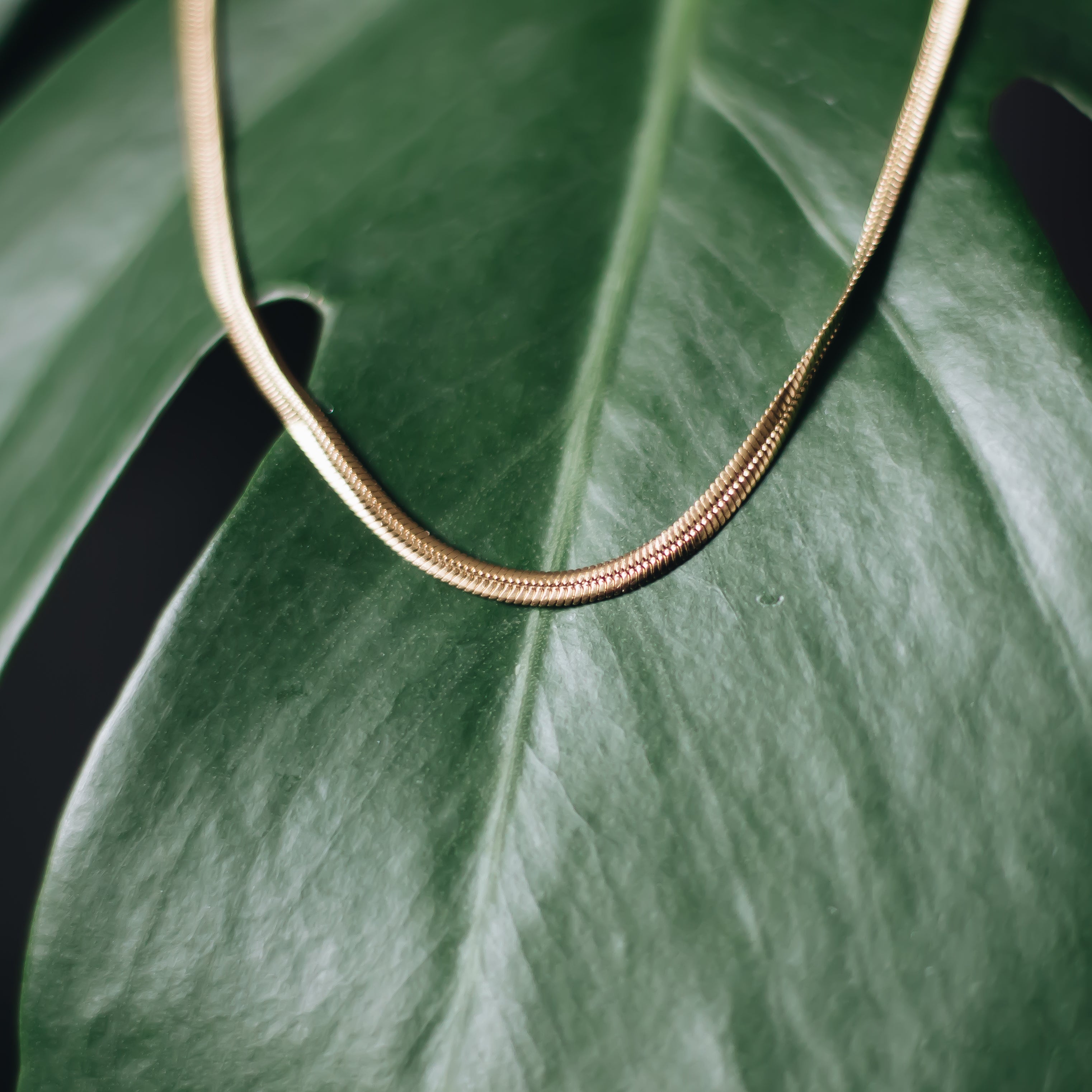 SERPENT Necklace